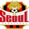  FC首尔